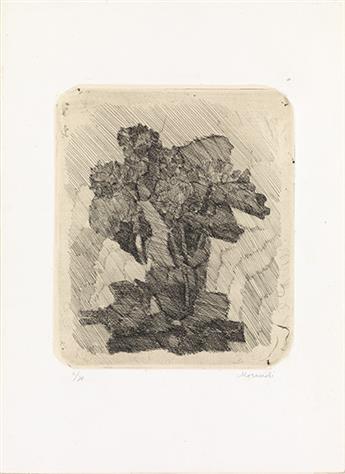 GIORGIO MORANDI Gerani dentro un bicchiere.